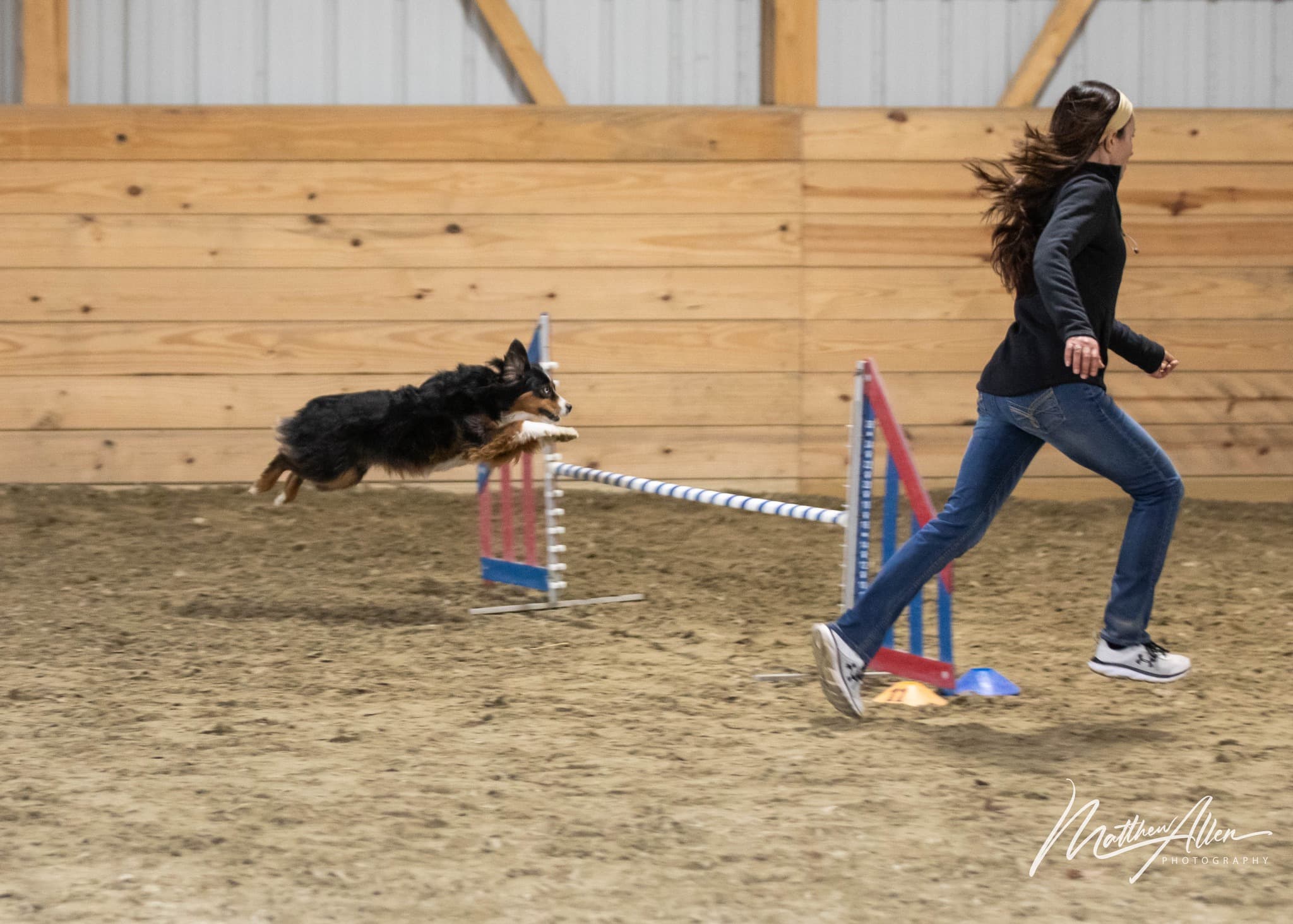 Dog and handler learning the agility seesaw together