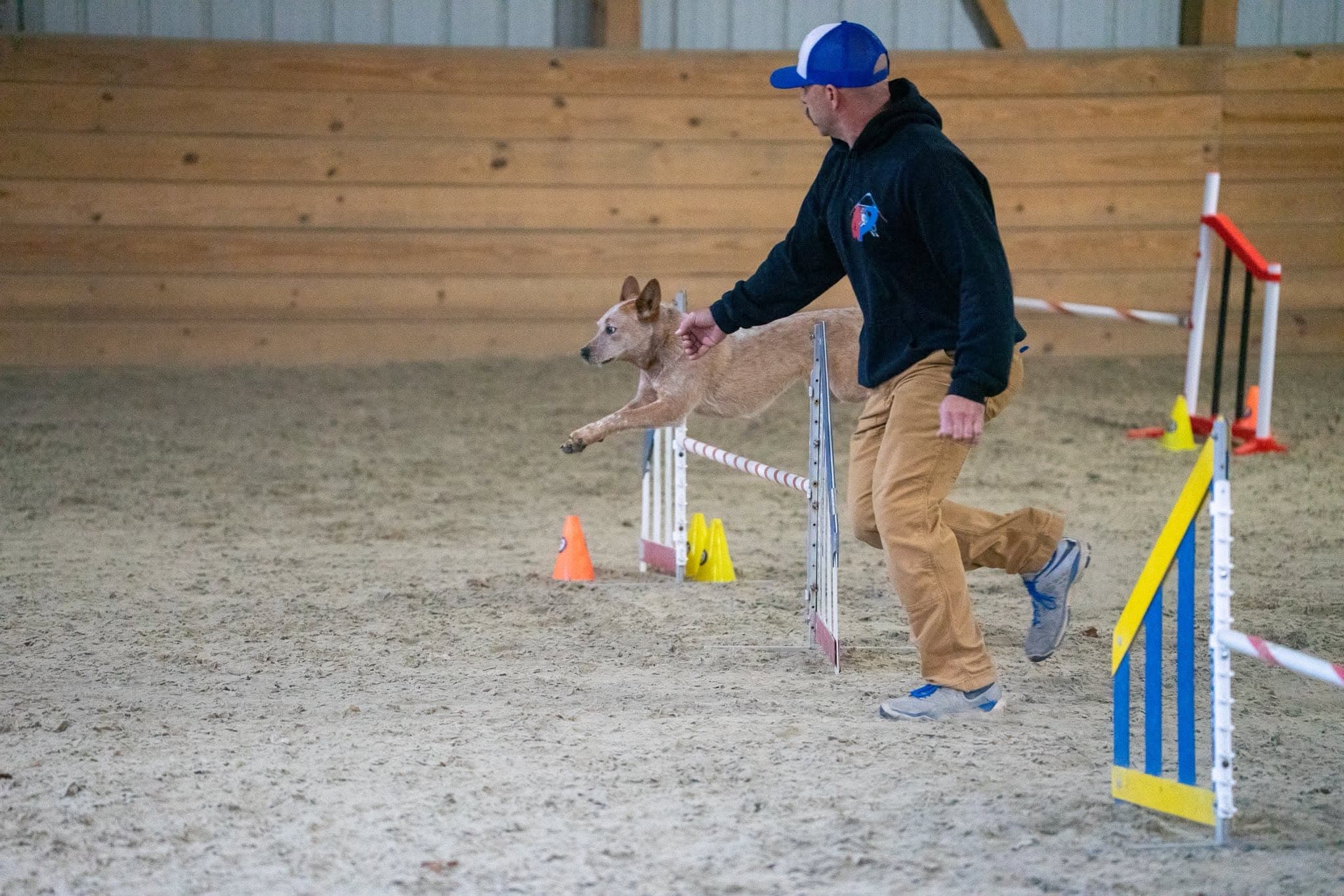 Handler guiding a dog over an agility jump during an indoor class